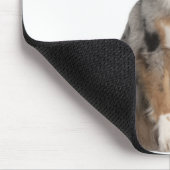 Australischer Schäferhund (10 Monate alt) mit eine Mousepad (Ecke)