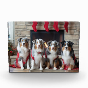 Australischer Schäferhund am Feuerplatz Weihnachte Fotoblock