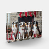 Australischer Schäferhund am Feuerplatz Weihnachte Fotoblock (Links)