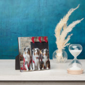 Australischer Schäferhund am Feuerplatz Weihnachte Fotoplatte (InSitu)