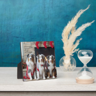 Australischer Schäferhund am Feuerplatz Weihnachte Fotoplatte