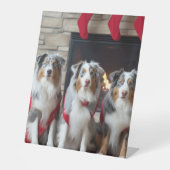 Australischer Schäferhund am Feuerplatz Weihnachte Sockelschild (Vorderseite)