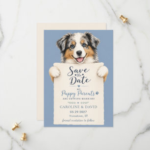 Australischer Schäferhund Aussie Hund Haustier Tie Save The Date