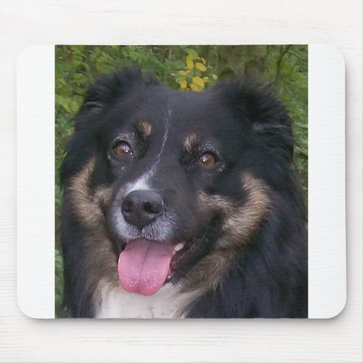 Australischer Schäferhund Black Tri Mousepad (Vorne)