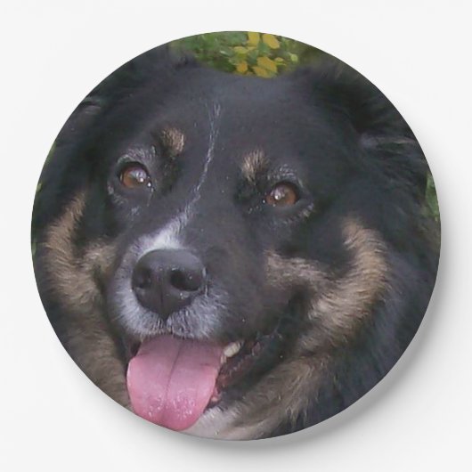 Australischer Schäferhund Black Tri Pappteller (Vorderseite)