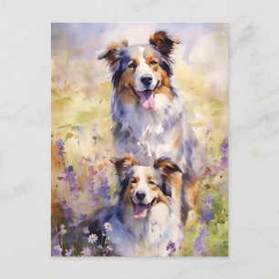 Australischer Schäferhund bunte Aquarellkunst Postkarte