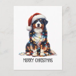 Australischer Schäferhund Dog im Weihnachtslicht u Feiertagspostkarte