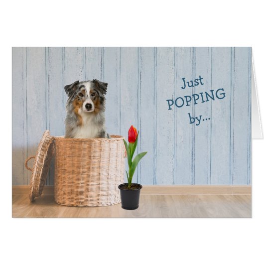 Australischer Schäferhund Dog Wicker Basket Geburt (Vorderseite (Horizontal))