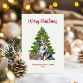 Australischer Schäferhund - Familie Weihnachten