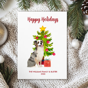 Australischer Schäferhund - Familie Weihnachten