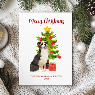 Australischer Schäferhund Familien-Weihnachten Feiertagskarte