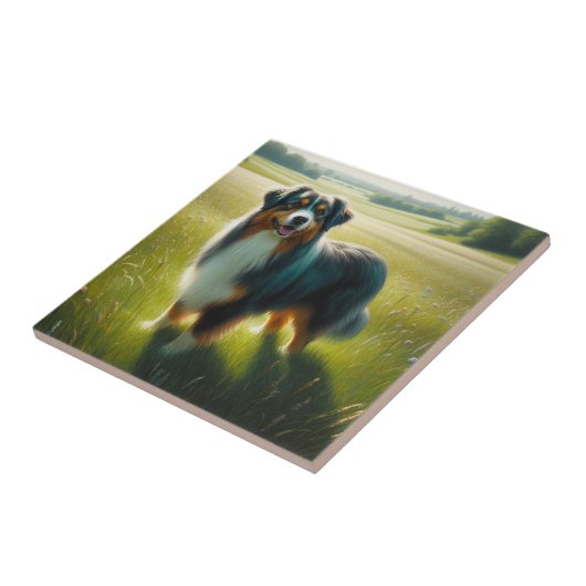 Australischer Schäferhund Fliese (Seite)