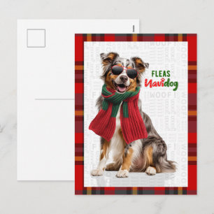 Australischer Schäferhund Flöhe Navidog Weihnachte Feiertagspostkarte