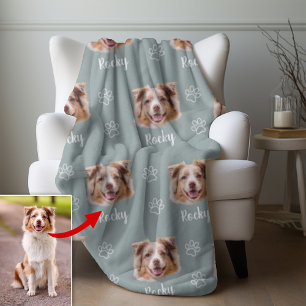 Australischer Schäferhund, Foto und Name, Haustier Fleecedecke