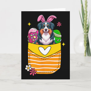 Australischer Schäferhund-Hase Osterschokoladeneie Karte