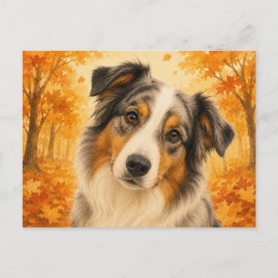 Australischer Schäferhund Herbstwald Hund Postkarte