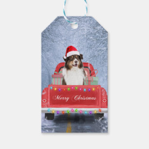 Australischer Schäferhund Hund im Schnee Weihnach Geschenkanhänger