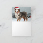 Australischer Schäferhund Hund im Schnee Weihnacht Karte (Innenseite)