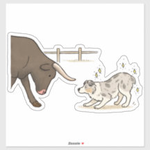 Australischer Schäferhund - Hüten