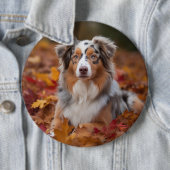 Australischer Schäferhund im Herbstfall Inspiriert Button (Beispiel)