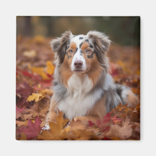 Australischer Schäferhund im Herbstfall Inspiriert Magnet