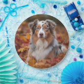 Australischer Schäferhund im Herbstfall Inspiriert Pappteller (Party)