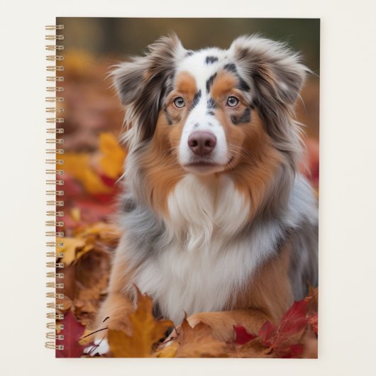 Australischer Schäferhund im Herbstfall Inspiriert Planer (Vorderseite)