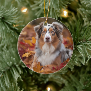 Australischer Schäferhund im Herbstlaubfall inspir Keramik Ornament