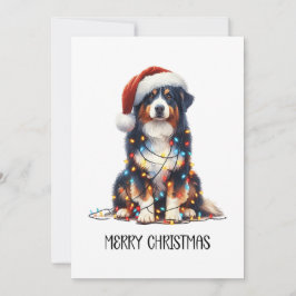 Australischer Schäferhund im Weihnachtslicht einge Feiertagskarte