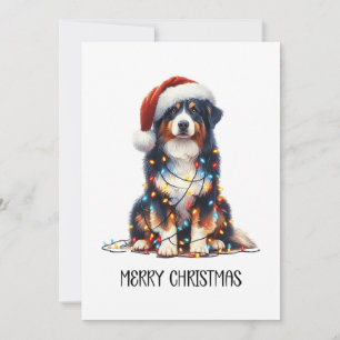 Australischer Schäferhund im Weihnachtslicht einge Feiertagskarte