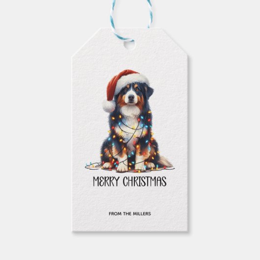 Australischer Schäferhund im Weihnachtslicht einge Geschenkanhänger (Vorderseite)