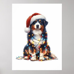 Australischer Schäferhund im Weihnachtslicht einge Poster