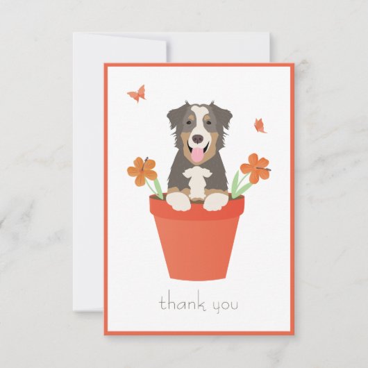 Australischer Schäferhund in Blume Pot Dankeskarte (Vorderseite)