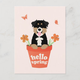 Australischer Schäferhund in Blume Pot Postkarte