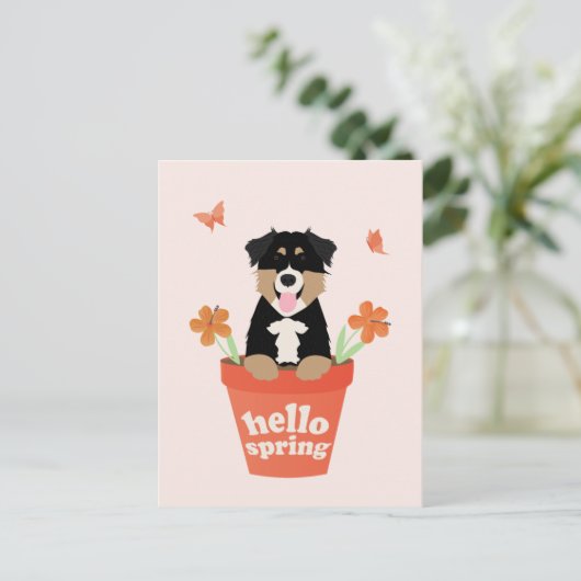 Australischer Schäferhund in Blume Pot Postkarte (Stehend Vorderseite)