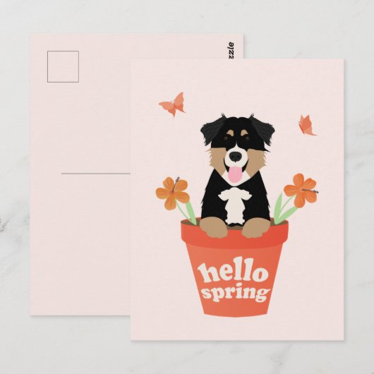 Australischer Schäferhund in Blume Pot Postkarte (Vorne/Hinten)