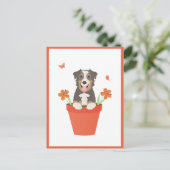 Australischer Schäferhund in Blume Pot Postkarte (Stehend Vorderseite)