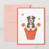 Australischer Schäferhund in Blume Pot Postkarte (Vorne/Hinten)
