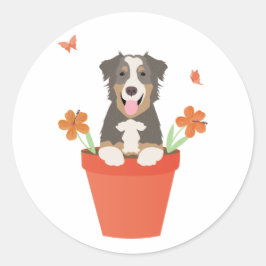 Australischer Schäferhund in Blume Pot Runder Aufkleber