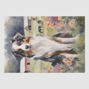Australischer Schäferhund in einem rustikalen Ambi Seidenpapier