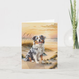 Australischer Schäferhund in einer Bucht