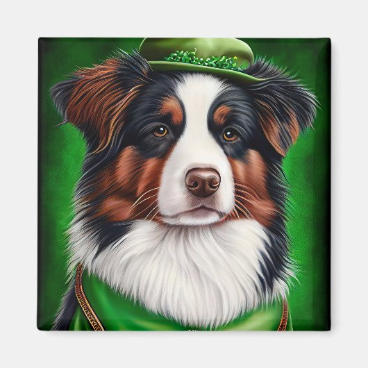 Australischer Schäferhund in St. Patrick's Day Dre Magnet (Vorne)