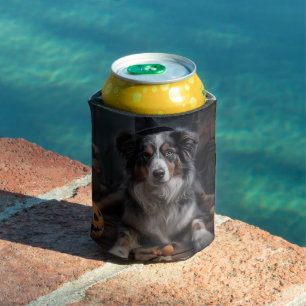 Australischer Schäferhund Kürbisse Halloween Gruse Dosenkühler