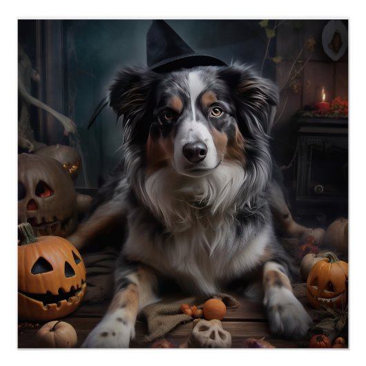 Australischer Schäferhund Kürbisse Halloween Gruse Poster (Vorderseite)