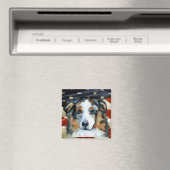 Australischer Schäferhund Magnet (In Situ (Geschirrspüler))