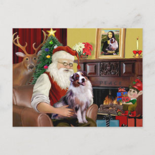 Australischer Schäferhund (Merle) des Weihnachtsma Feiertagspostkarte