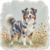 Australischer Schäferhund Merle Langschwanz Aufkleber (Vorderseite)