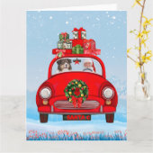 Australischer Schäferhund mit dem Weihnachtsmann Karte (Gelbe Blume)