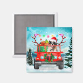 Australischer Schäferhund mit Weihnachtsgeschenken Magnet (Vorderseite/Rückseite)