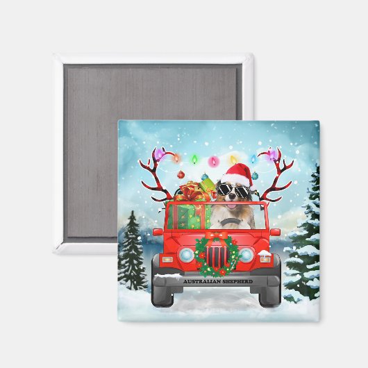 Australischer Schäferhund mit Weihnachtsgeschenken Magnet (Vorderseite/Rückseite)